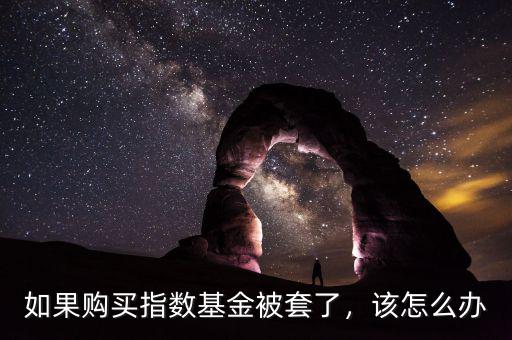 如果購買指數(shù)基金被套了，該怎么辦
