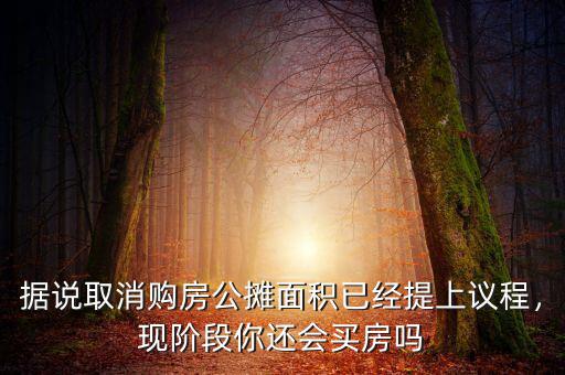 據(jù)說(shuō)取消購(gòu)房公攤面積已經(jīng)提上議程，現(xiàn)階段你還會(huì)買房嗎
