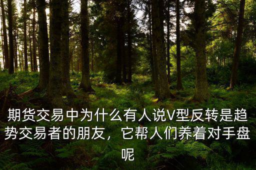 期貨交易中為什么有人說(shuō)V型反轉(zhuǎn)是趨勢(shì)交易者的朋友，它幫人們養(yǎng)著對(duì)手盤呢