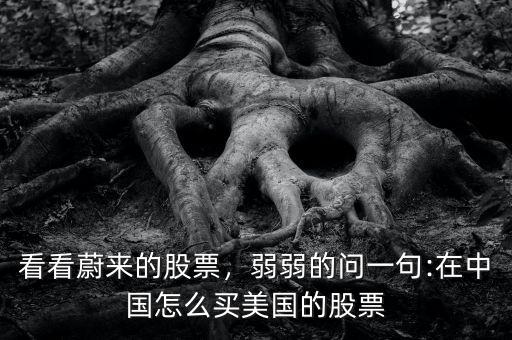 看看蔚來的股票，弱弱的問一句:在中國怎么買美國的股票