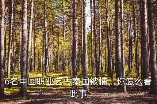 6名中國職業(yè)乞丐泰國被捕，你怎么看此事
