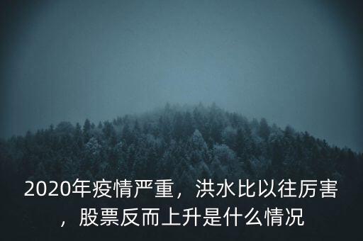 2020年疫情嚴(yán)重，洪水比以往厲害，股票反而上升是什么情況
