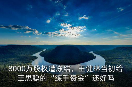 8000萬股權(quán)遭凍結(jié)，王健林當初給王思聰?shù)摹熬毷仲Y金”還好嗎