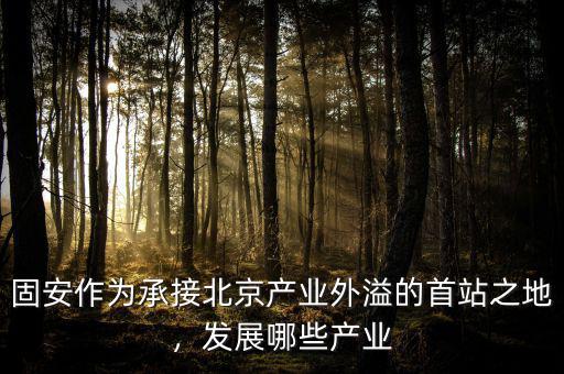 固安作為承接北京產(chǎn)業(yè)外溢的首站之地，發(fā)展哪些產(chǎn)業(yè)