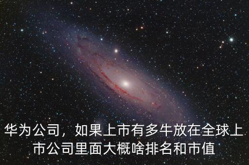 華為公司，如果上市有多牛放在全球上市公司里面大概啥排名和市值
