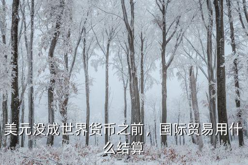 美元沒成世界貨幣之前，國(guó)際貿(mào)易用什么結(jié)算