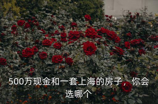 500萬現金和一套上海的房子，你會選哪個