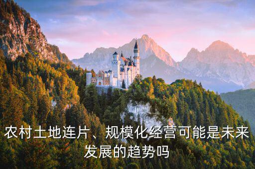 農(nóng)村土地連片、規(guī)模化經(jīng)營可能是未來發(fā)展的趨勢嗎