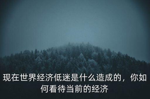 現(xiàn)在世界經(jīng)濟低迷是什么造成的，你如何看待當前的經(jīng)濟
