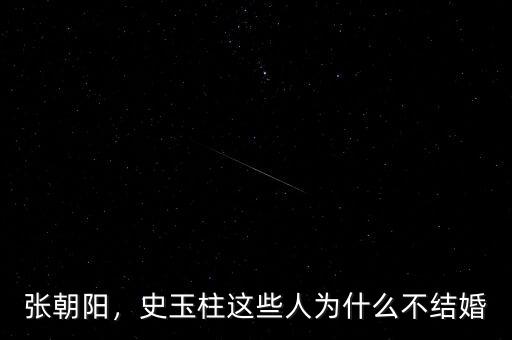 張朝陽，史玉柱這些人為什么不結(jié)婚