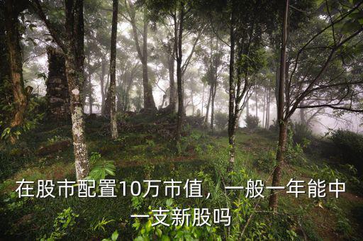 在股市配置10萬(wàn)市值，一般一年能中一支新股嗎