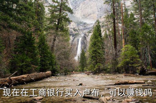 現(xiàn)在在工商銀行買入盧布，可以賺錢嗎