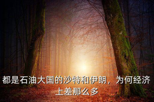 都是石油大國的沙特和伊朗，為何經(jīng)濟(jì)上差那么多