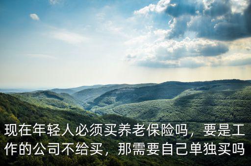 現(xiàn)在年輕人必須買養(yǎng)老保險嗎，要是工作的公司不給買，那需要自己單獨買嗎