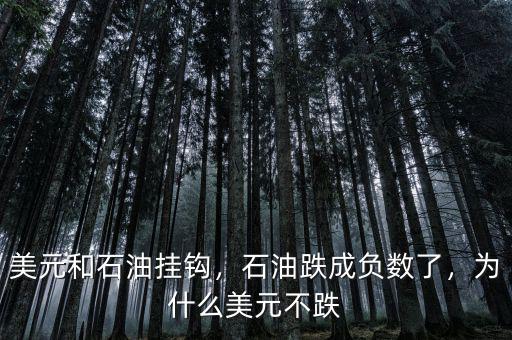 美元和石油掛鉤，石油跌成負(fù)數(shù)了，為什么美元不跌