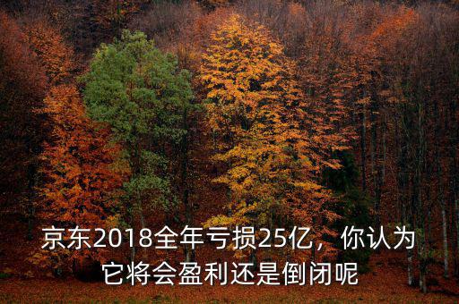 京東2018全年虧損25億，你認(rèn)為它將會(huì)盈利還是倒閉呢