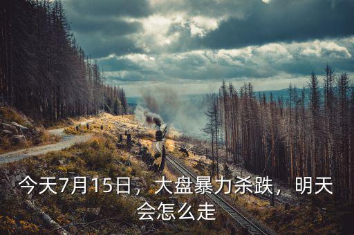 今天7月15日，大盤暴力殺跌，明天會怎么走