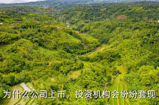 為什么公司上市，投資機構(gòu)會紛紛套現(xiàn)