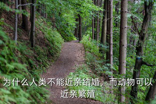 為什么人類不能近親結(jié)婚，而動物可以近親繁殖