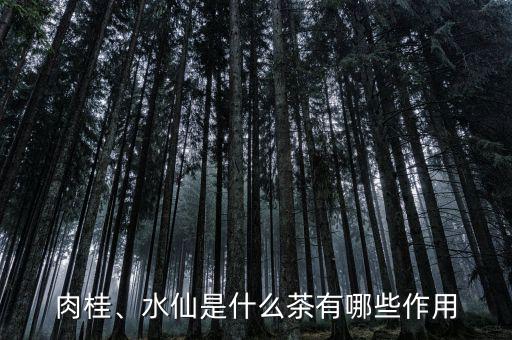 肉桂、水仙是什么茶有哪些作用