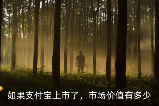 如果支付寶上市了，市場價(jià)值有多少