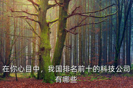 在你心目中，我國排名前十的科技公司有哪些