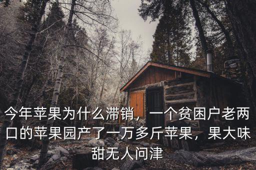 今年蘋果為什么滯銷，一個貧困戶老兩口的蘋果園產(chǎn)了一萬多斤蘋果，果大味甜無人問津