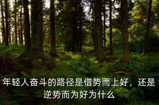 年輕人奮斗的路徑是借勢(shì)而上好，還是逆勢(shì)而為好為什么