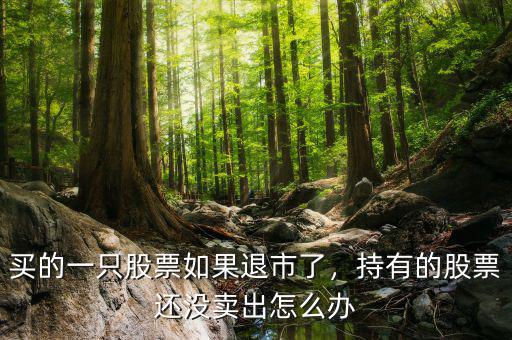 買的一只股票如果退市了，持有的股票還沒(méi)賣出怎么辦