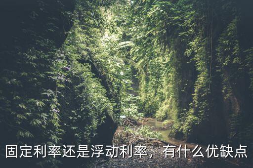 固定利率還是浮動利率，有什么優(yōu)缺點