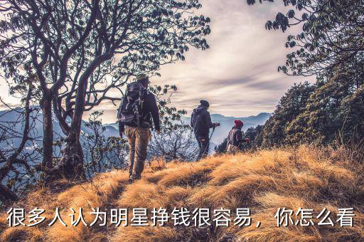 很多人認(rèn)為明星掙錢(qián)很容易，你怎么看