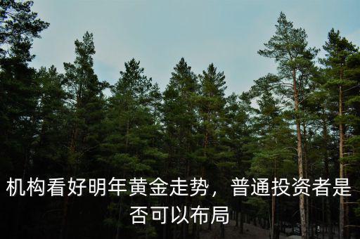 機(jī)構(gòu)看好明年黃金走勢(shì)，普通投資者是否可以布局