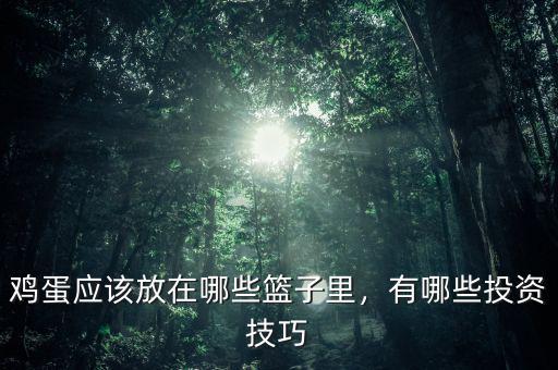 雞蛋應(yīng)該放在哪些籃子里，有哪些投資技巧