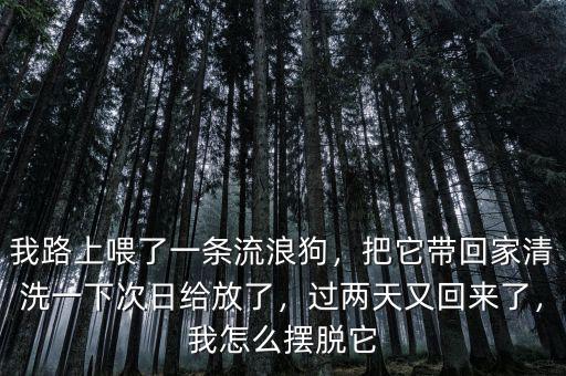 我路上喂了一條流浪狗，把它帶回家清洗一下次日給放了，過(guò)兩天又回來(lái)了，我怎么擺脫它