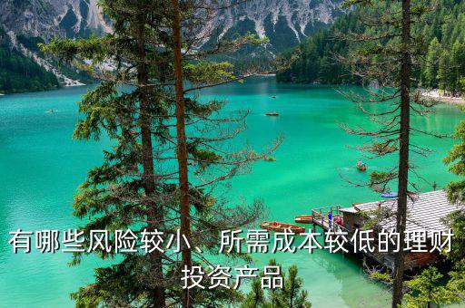 有哪些風(fēng)險(xiǎn)較小、所需成本較低的理財(cái)投資產(chǎn)品