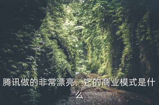 騰訊做的非常漂亮，它的商業(yè)模式是什么
