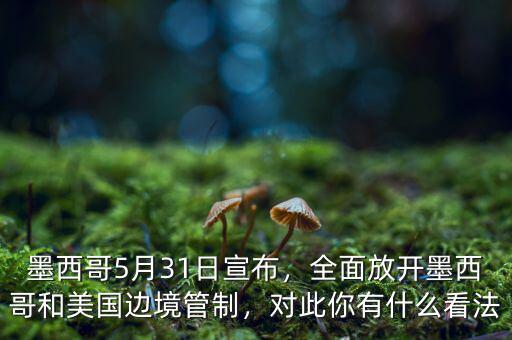 墨西哥5月31日宣布，全面放開墨西哥和美國邊境管制，對此你有什么看法