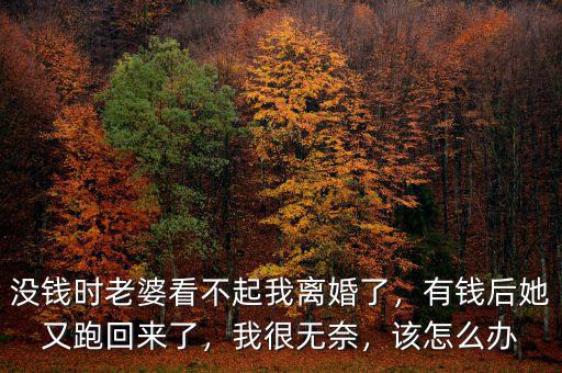 沒(méi)錢(qián)時(shí)老婆看不起我離婚了，有錢(qián)后她又跑回來(lái)了，我很無(wú)奈，該怎么辦