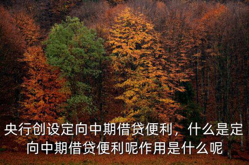 央行創(chuàng)設(shè)定向中期借貸便利，什么是定向中期借貸便利呢作用是什么呢