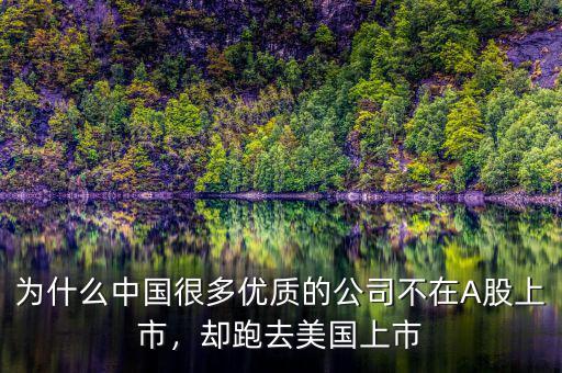 為什么中國很多優(yōu)質(zhì)的公司不在A股上市，卻跑去美國上市
