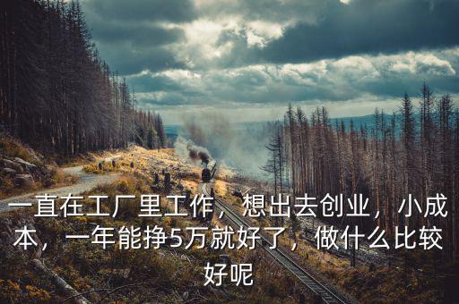 一直在工廠里工作，想出去創(chuàng)業(yè)，小成本，一年能掙5萬就好了，做什么比較好呢
