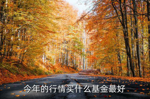 今年的行情買(mǎi)什么基金最好