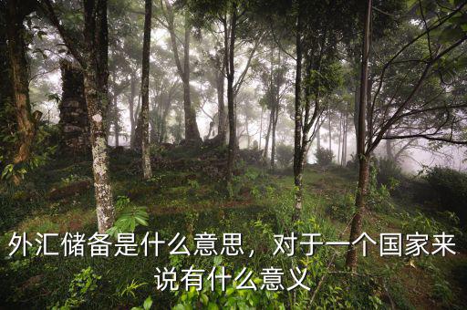 外匯儲備是什么意思，對于一個國家來說有什么意義