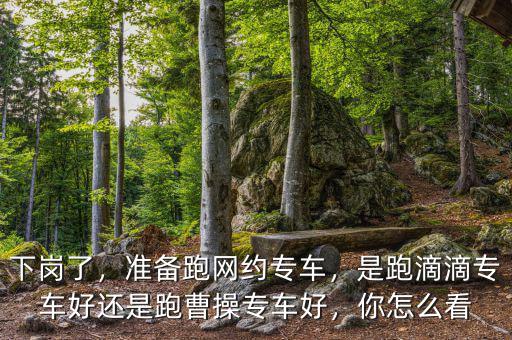 下崗了，準(zhǔn)備跑網(wǎng)約專車，是跑滴滴專車好還是跑曹操專車好，你怎么看