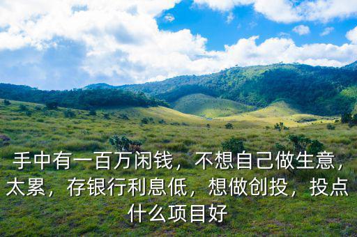 手中有一百萬(wàn)閑錢(qián)，不想自己做生意，太累，存銀行利息低，想做創(chuàng)投，投點(diǎn)什么項(xiàng)目好