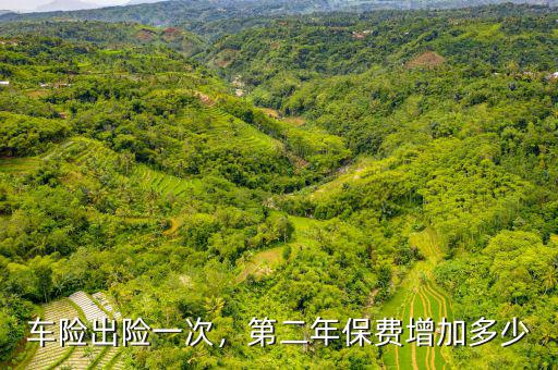 車險(xiǎn)出險(xiǎn)一次，第二年保費(fèi)增加多少