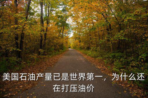 美國石油產(chǎn)量已是世界第一，為什么還在打壓油價