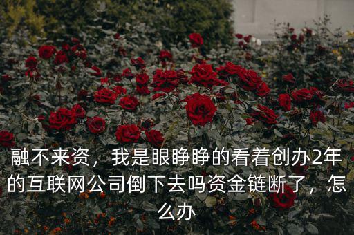 融不來(lái)資，我是眼睜睜的看著創(chuàng)辦2年的互聯(lián)網(wǎng)公司倒下去嗎資金鏈斷了，怎么辦