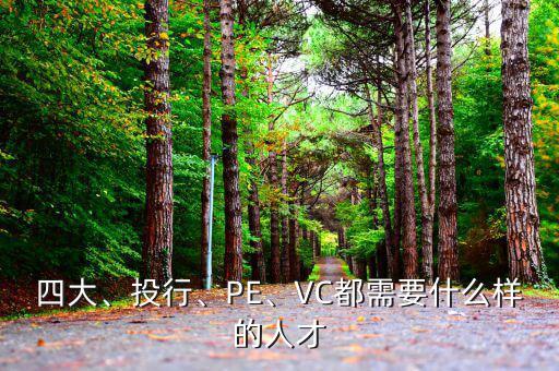 四大、投行、PE、VC都需要什么樣的人才