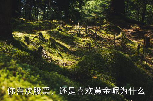 你喜歡股票，還是喜歡黃金呢為什么